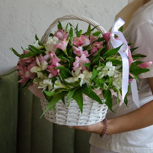 Cesta de alstroemeria tierna
