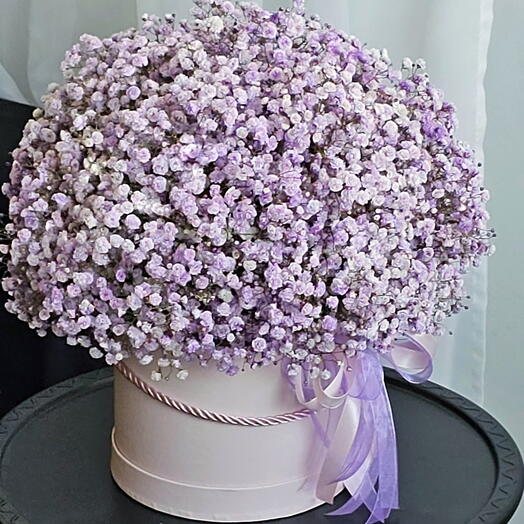 Purple gypsophila in a box