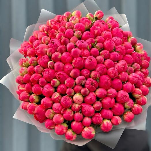 Букет из коралловых пионов 101 шт