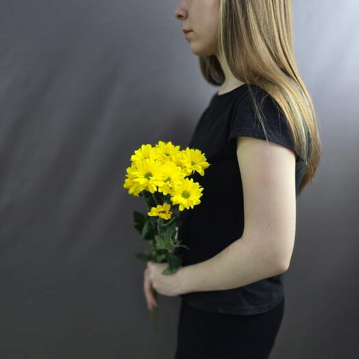 Chrysanthemum kustova