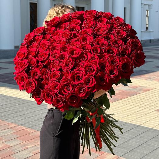 101 метровая роза