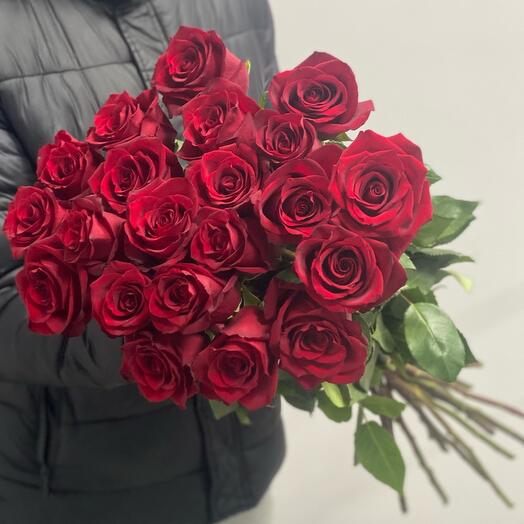 Высокие красные розы Эквадор️️ 21 шт