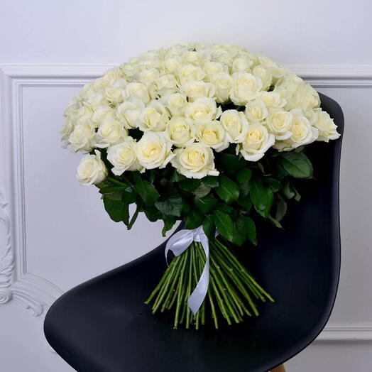 31 white rose