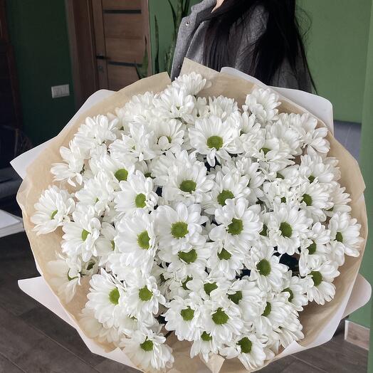 Ромашковая полянка
