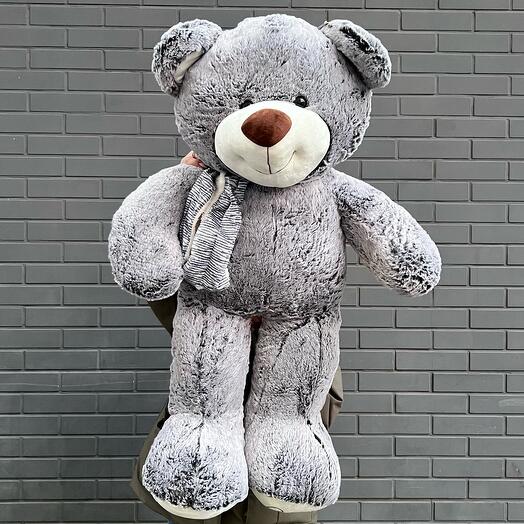 Серый мишка 🧸🤍