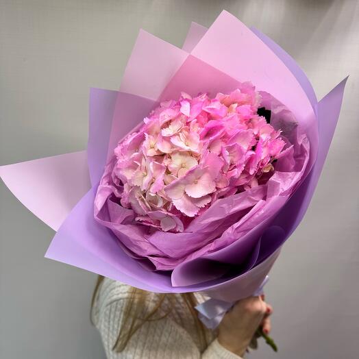 Гортензия Mono bouquet 1