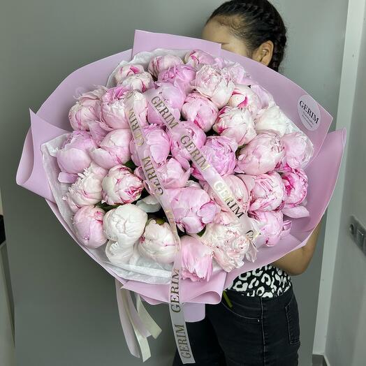 Пионы Сара Бернар 35