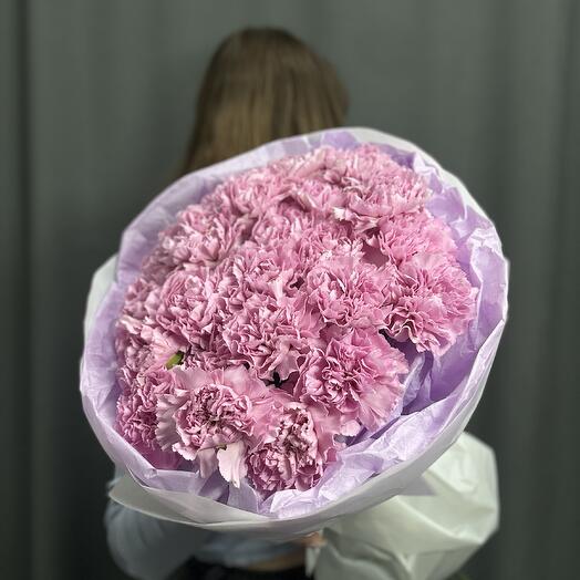 Розовые диантусы