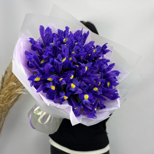 Irises 23pcs
