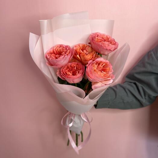 Stunning Peony Roses