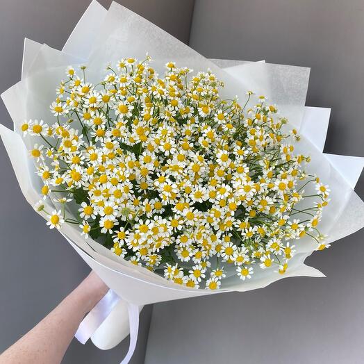 Букет из кустовых ромашек 15 штук