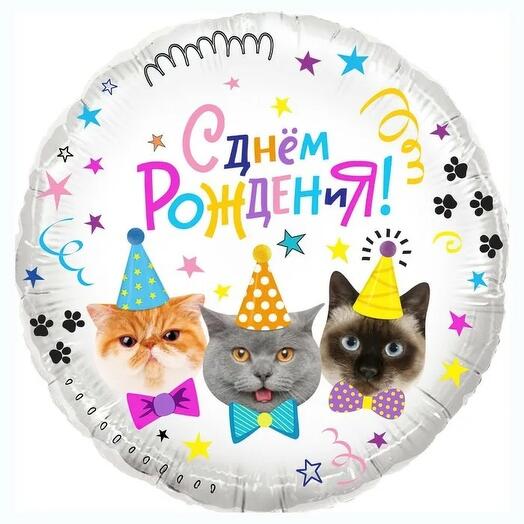 Шар круг с котятками «с днём рождения»