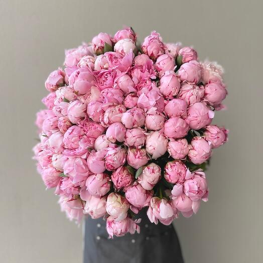 75 пионов Сара Бернар с атласной лентой💞