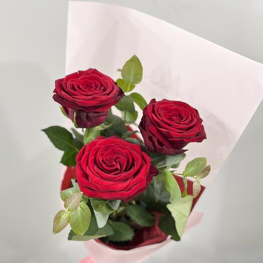 3 red roses