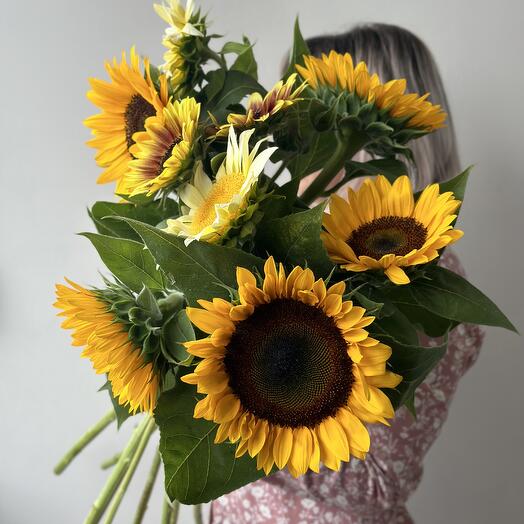 Подсолнухи 🌻 солнечные