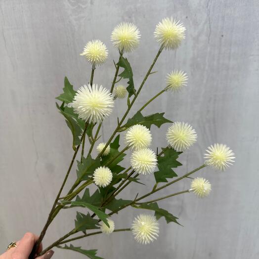 Эхинопс искусственный