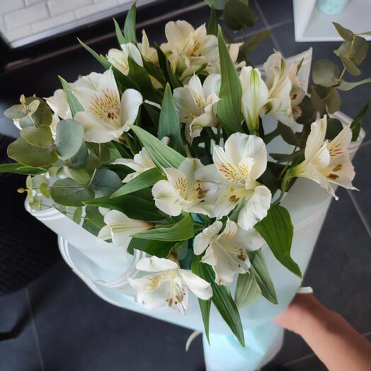 Нежный букет из белой альстромерии