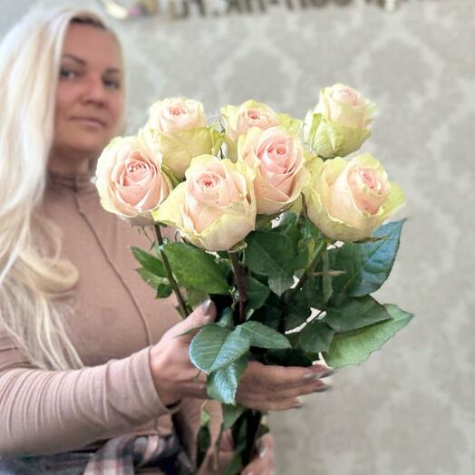 Розы букет 7 шт