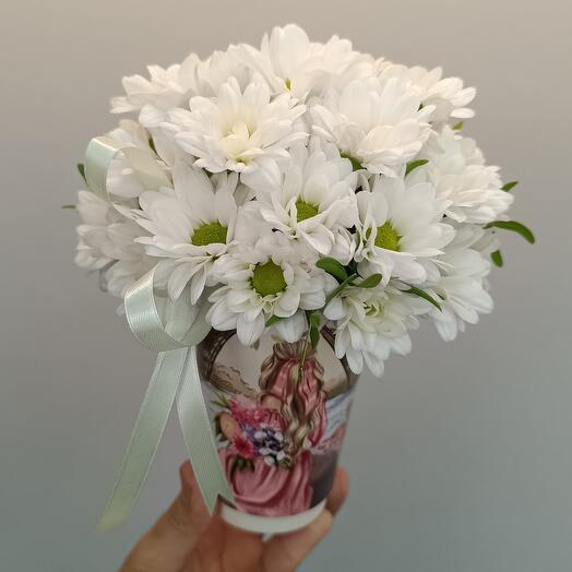 Ромашки 🌼