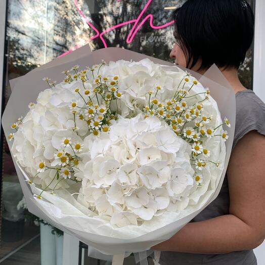 White Hortensia   Camilla