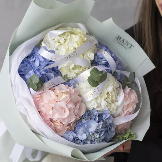 7 гортензий 2