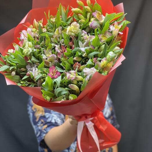 Альстромерия микс 💐