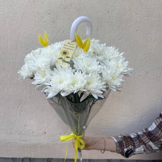 Хризантемы в зонтике