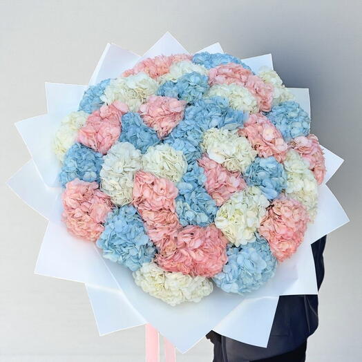 35 королевских гортензий