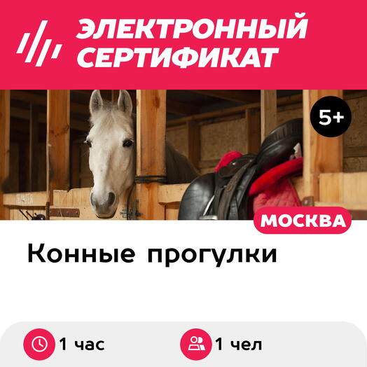 Подарочный сертификат Индивидуальная конная прогулка, 1 чел., будние дни (1 час)