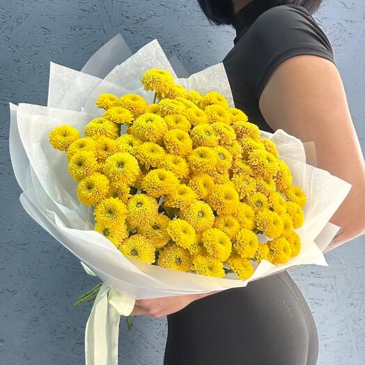 Хризантема кустовая