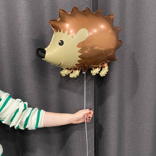 Шар «Ёжик» на день рождение, для детей