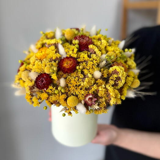 Солнце из статицы