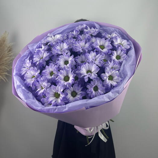 7 ромашковых фиолетовых хризантем💜