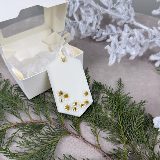 Аромасаше 10