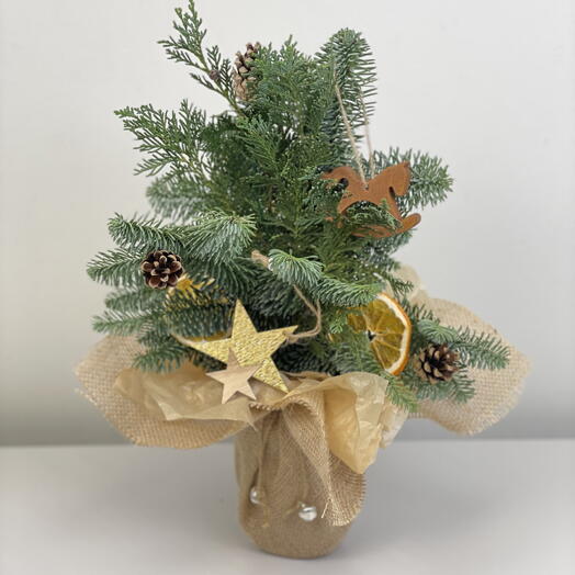 Декоративная елочка из живого нобилиса и туи с деревянными украшениями
