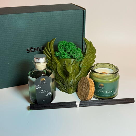 Подарочный бокс «Тайна хвойного леса»