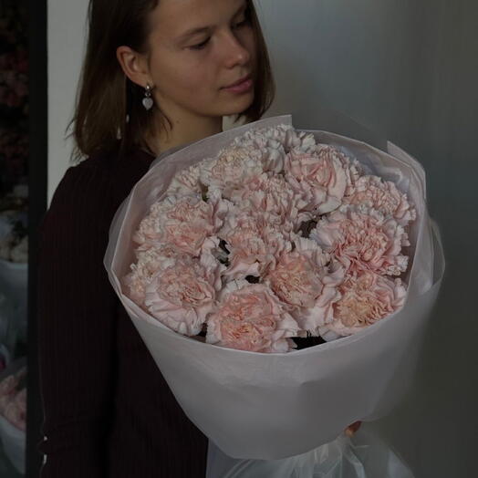 Нежные гвоздики