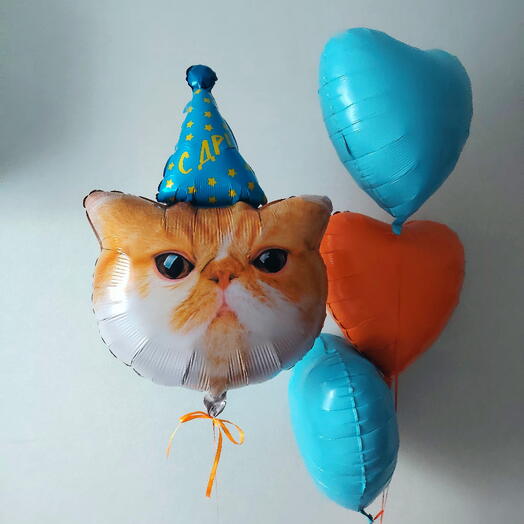 Шары на день рождения кот в колпачке рыжий мужчине, коллеге, любимой девушке