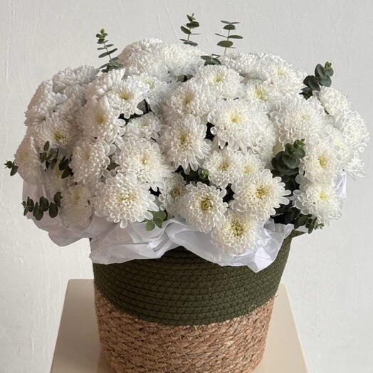 Композиция "Олив"