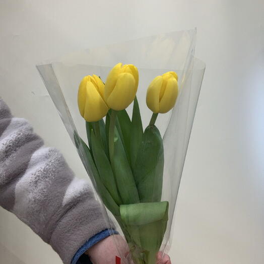 Тюльпаны  3 шт