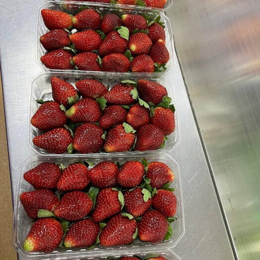 Египетская клубника 🍓