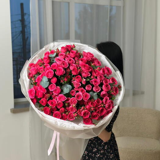 20 Mono Spray Sofia Euca