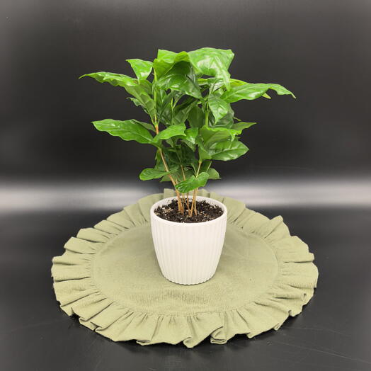 Кофе в белом горшочке