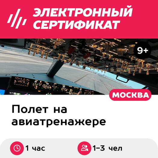Подарочный сертификат Полет на авиатренажере Boeing 737 MAX, 1 час, 1-3 чел., будние дни