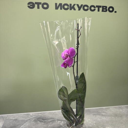 Цветок