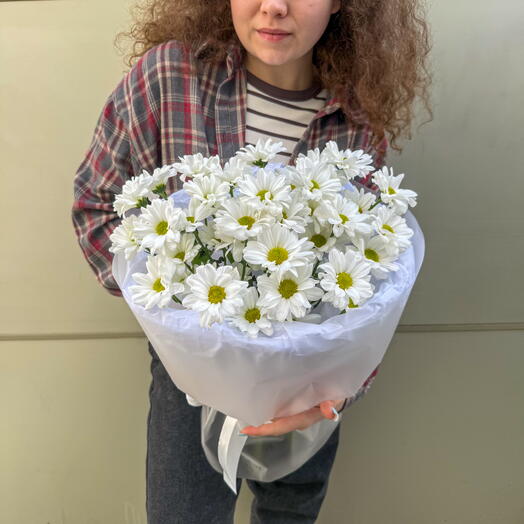 Хризантема ромашка + сладкий подарок 🎁