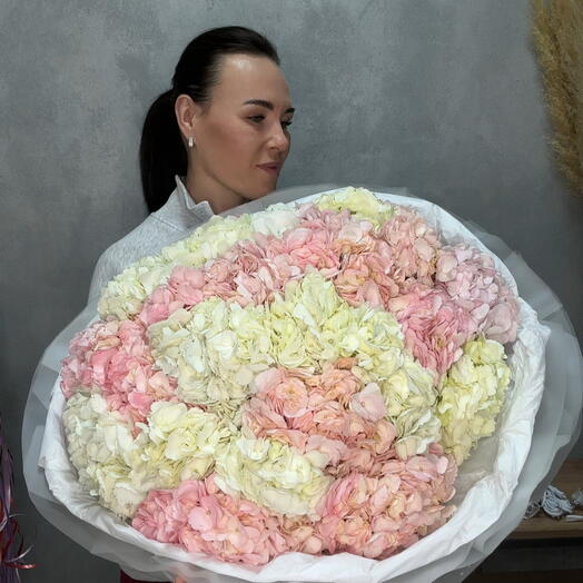 Гортензии 21 шт микс