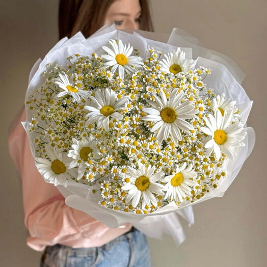 Микс крупных и кустовых ромашек