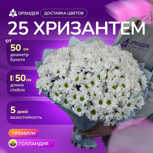 Букет 25 белых хризантем "Бакарди"