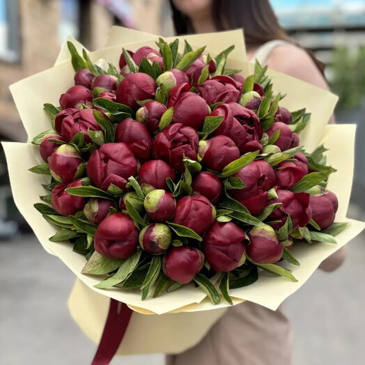 51 бордовый пион